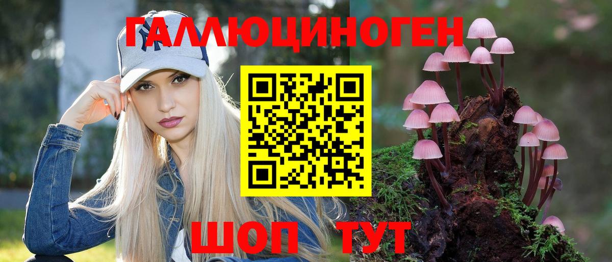 Псилоцибиновые грибы мицелий Лениногорск