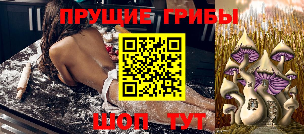 Лениногорск  Героин  Вход с VPN  Кокаин  Меф МЯУ МЯУ   НБОМе  Гашиш  Конопля  A-PVP СОЛЬ  